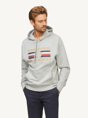 Metallic Logo Hoodie | Sweatshirts & Hoodies | Tommy Hilfiger