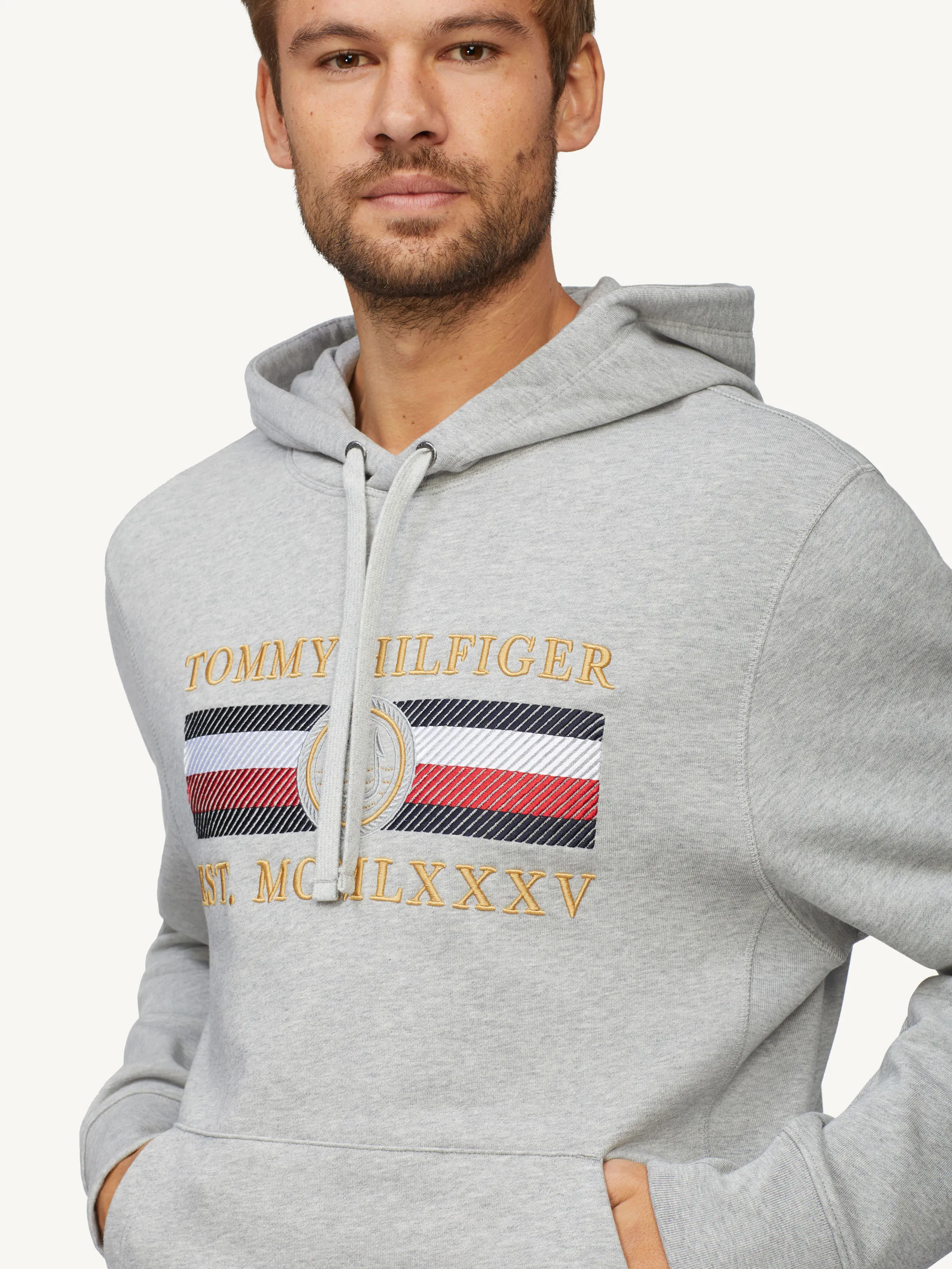 Metallic Logo Hoodie | Sweatshirts & Hoodies | Tommy Hilfiger