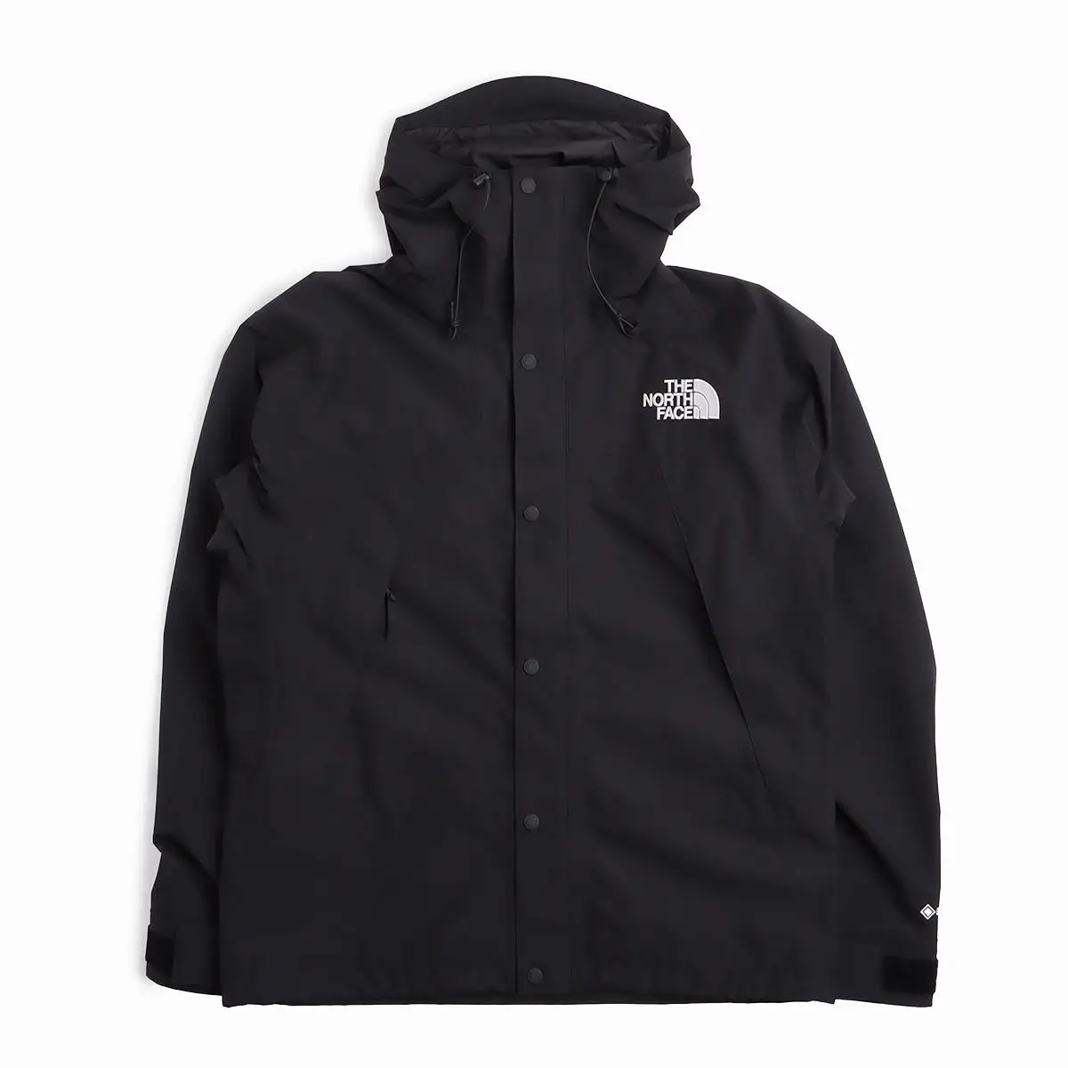 The North Face Gore-Tex Mountain Jacket