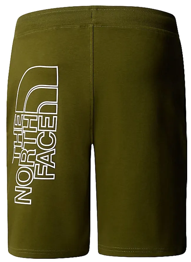 The North Face Mens Graphic Shorts Light Forest Olive