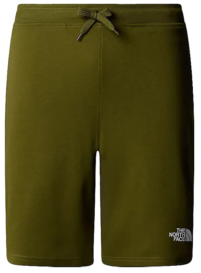 The North Face Mens Graphic Shorts Light Forest Olive