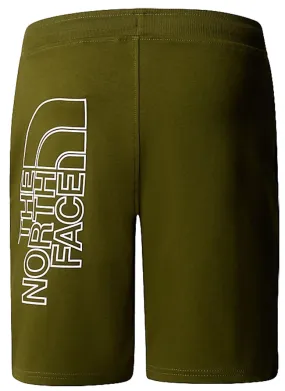 The North Face Mens Graphic Shorts Light Forest Olive